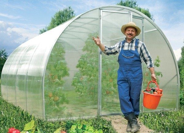 Легкий уход за участком: как сделать сад красивым без лишних усилий