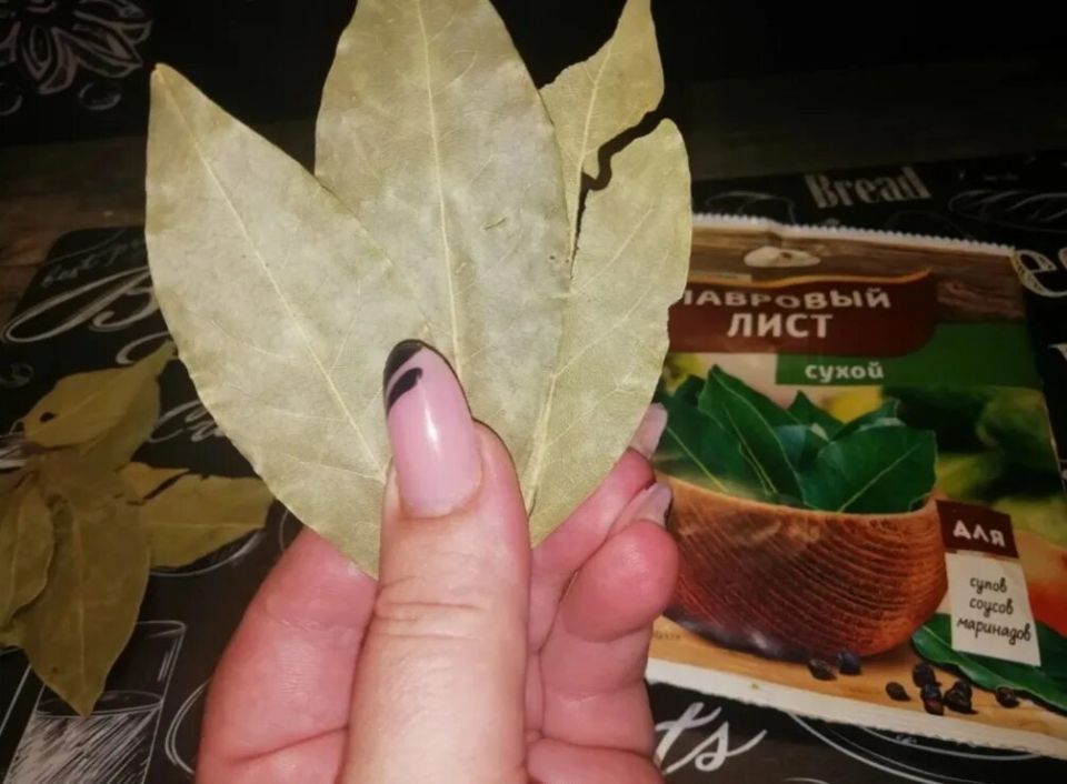 Лавровый лист в ванной: неожиданные преимущества, о которых стоит знать