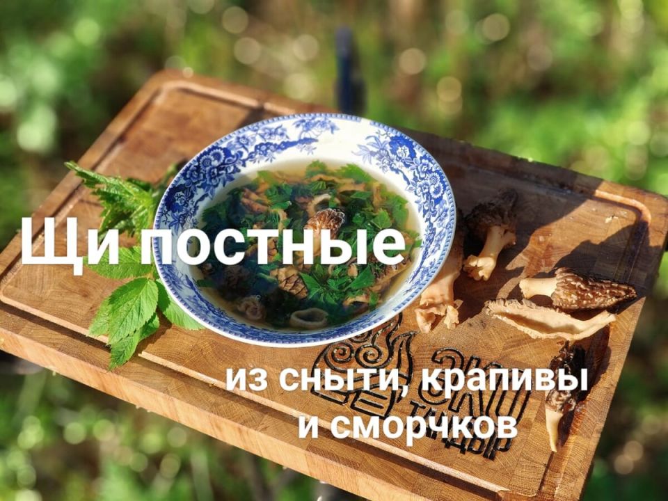 Оживите свои блюда: щи из сныти, крапивы и сморчков – весенний хит