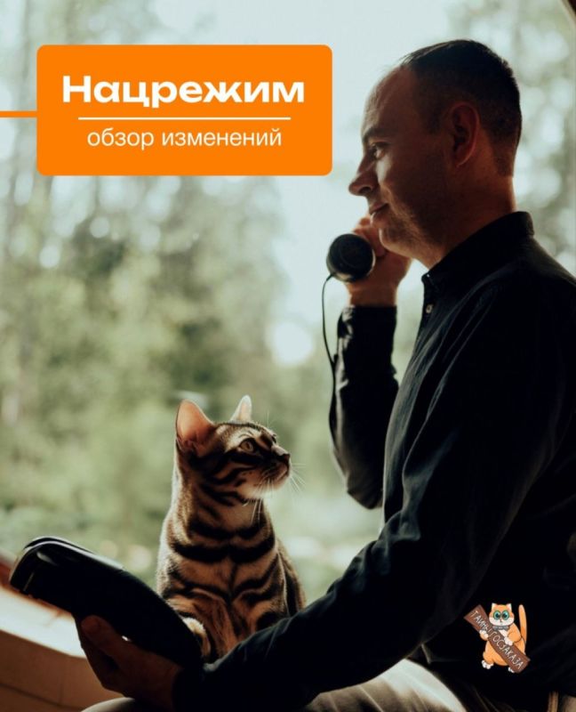 Новые правила госзакупок: что изменится с 1 сентября 2025 года