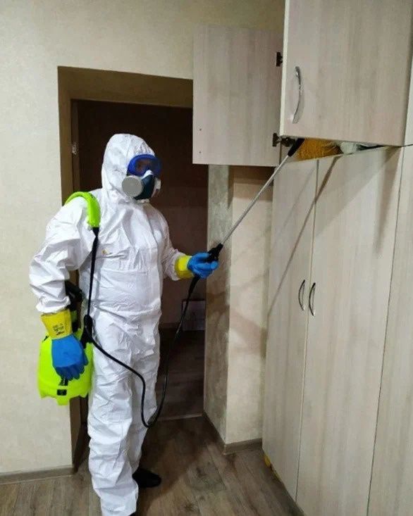 Эффективные методы борьбы с запахами