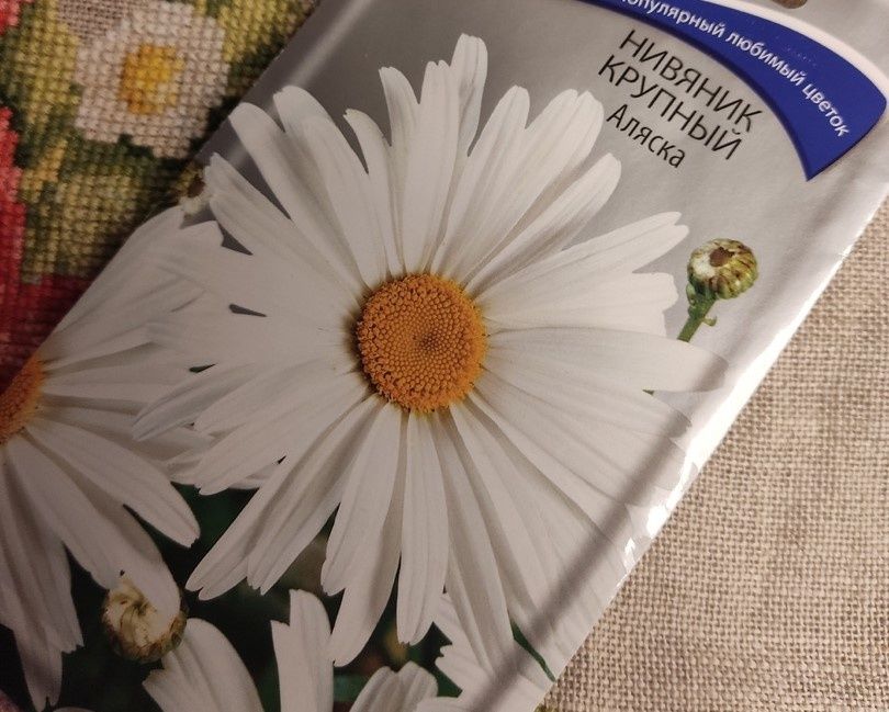 Как цветы и новое управление преобразили жизнь в подъезде