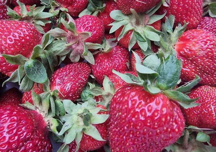 Как выбрать сладкую и спелую клубнику: на что смотреть в первую очередь