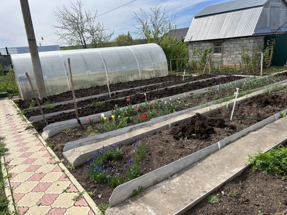 Как вырастить богатый урожай: секреты успешных огородников без навоза