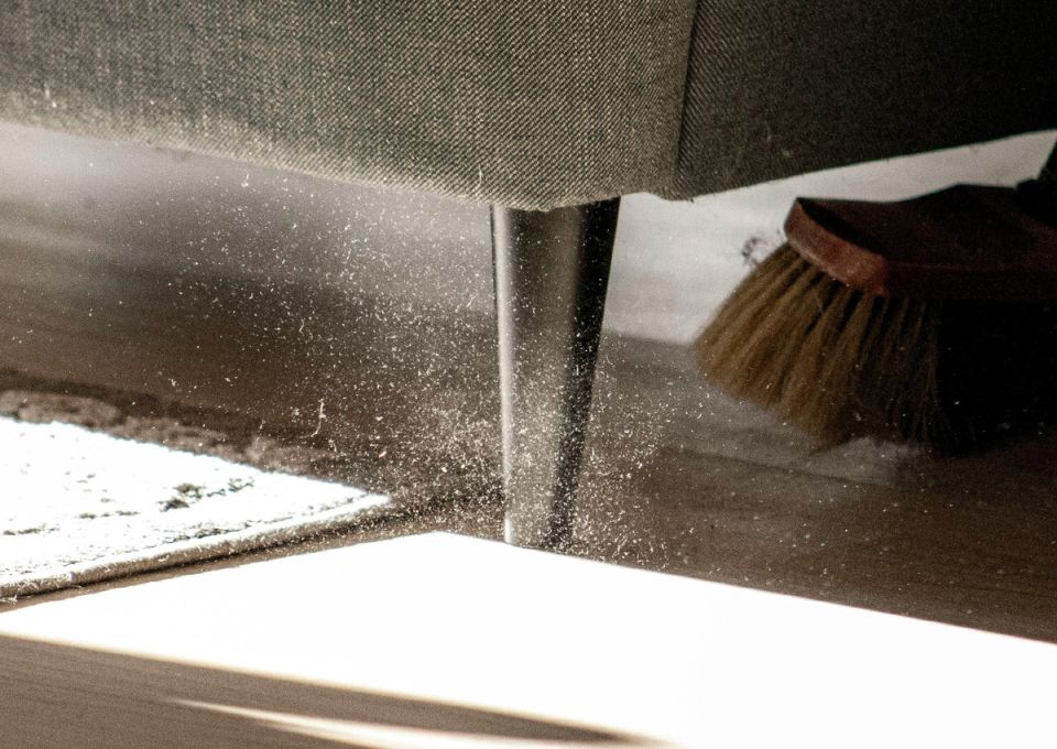 Проблема домашней пыли