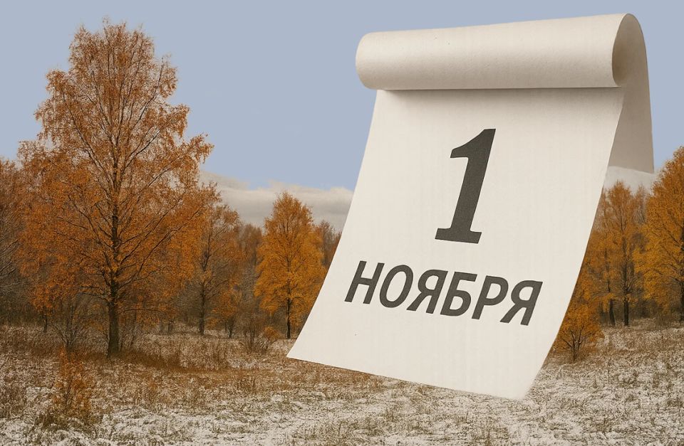 Новые правила жизни россиян с ноября 2025 года: что нужно знать каждому