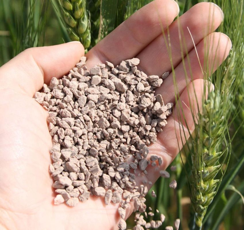 Готовим сад к зиме: осенние удобрения, которые сделают ваши растения сильнее