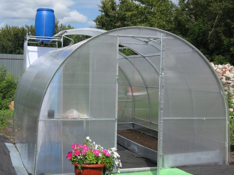 Как создать теплицу легко и бюджетно: 5 простых решений для дачников