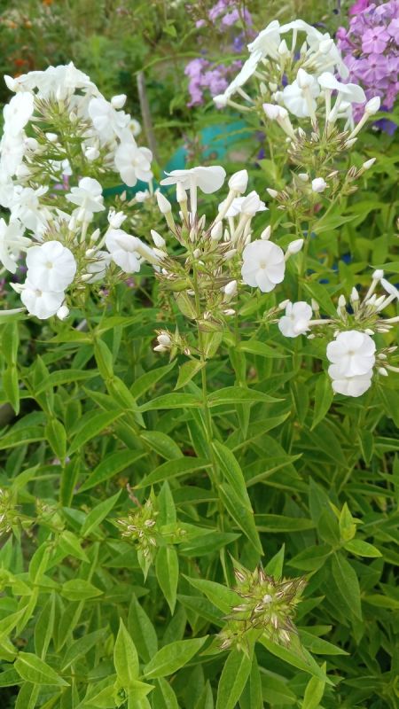 Как научиться ценить моменты жизни