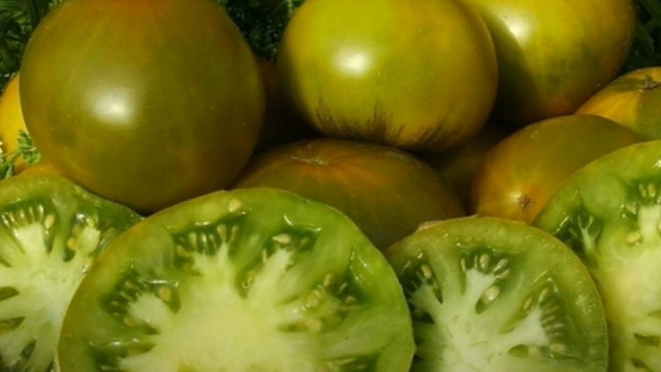 Зеленые томаты: интересные сорта для нового урожая