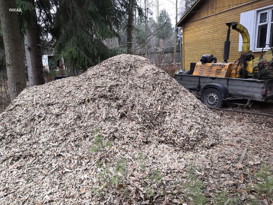 Как в Германии утилизируют древесные отходы: опыт и порядок