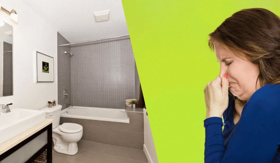 ��� ���������� �� �������� ������ � ������: ������� � ����������� ������