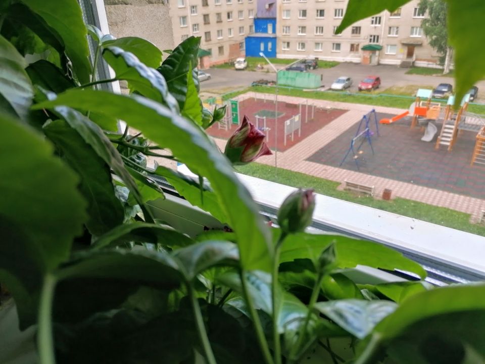 �������� �����: ��� ��������� �������� ������ ��� �����