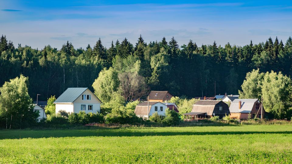Как избежать уголовной ответственности за вырубку деревьев на даче