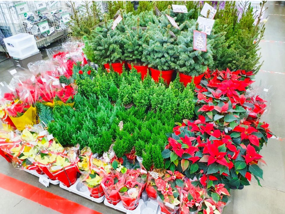 ������ ��������� ��������: ���������� ���������, ������� �������� � ��������� ������ ���� �����