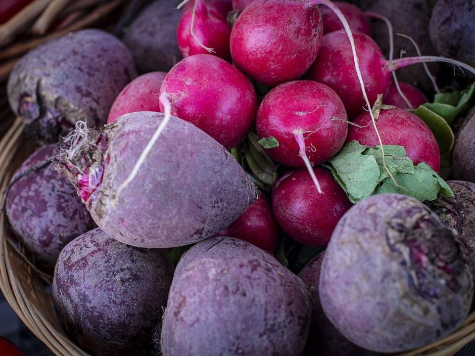 ������ ������ � ��� ���� ������: ������� ��������� �����������