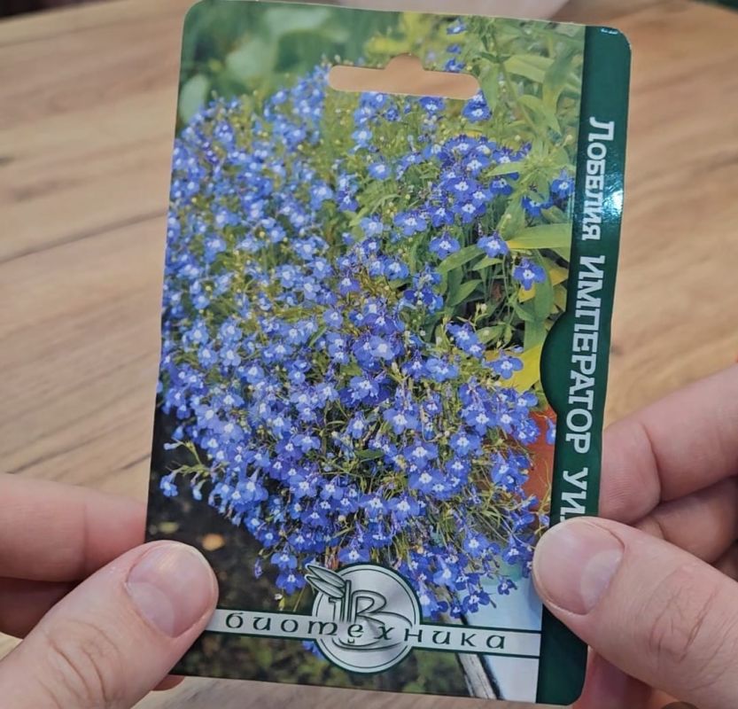 ��� ����� � ������ ������� ������ ������, ���� ���� ��� ������ �� ����