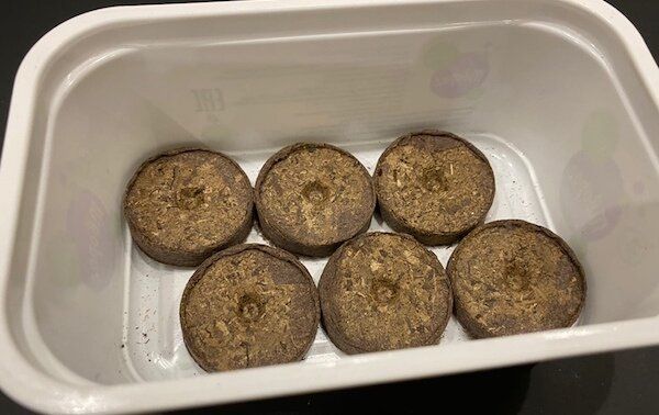 ���������� �������� ��������: ������� ��� �������� �������