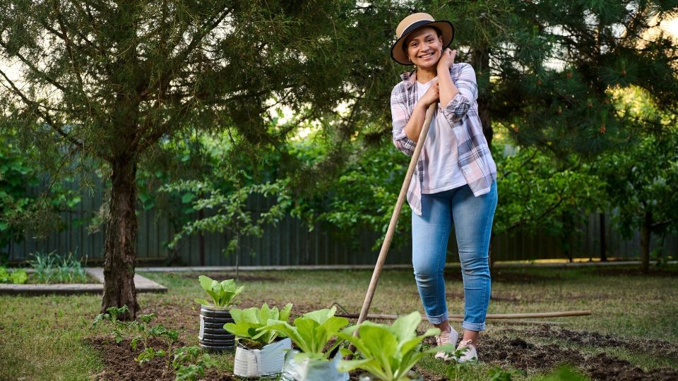 ��� ��� ������ ���������� ������ ������� ��������: �������� ����� � ����