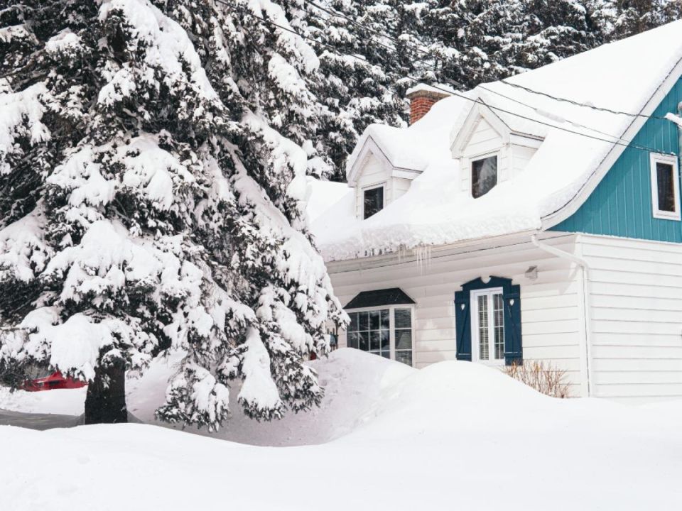 ���� � ��� ������� �� ������ �������: ��� ������������� ��������