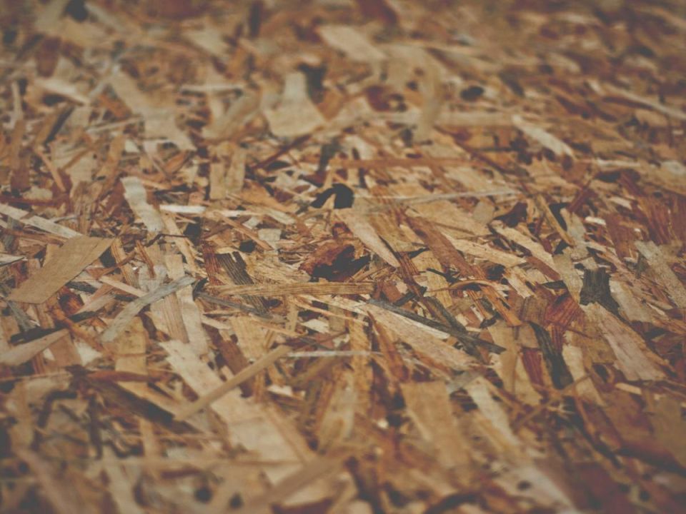 ��� ����� �������� ��������� ����� � �������� ����� �� ����