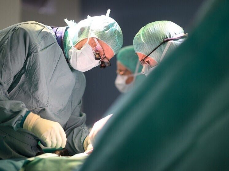 ������ � �������������������: ������ ������ ������������ 171 ���� � ��������� ��������