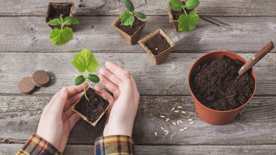 ����������� � �������� �������: ����� ���� ������������� ��������?