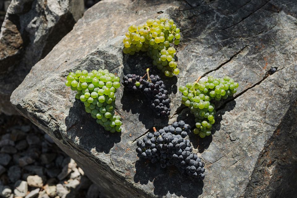 ��������� ����: �� ������� � �������������