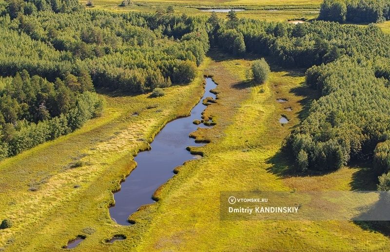 ����������� ������������ ����������: ����������� ��� ������� ���� �������