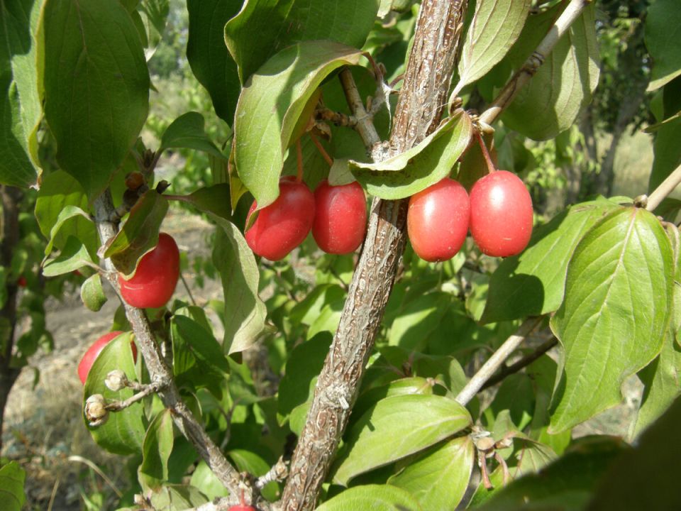 �����: ������� ������ � ����������� ������� �����������