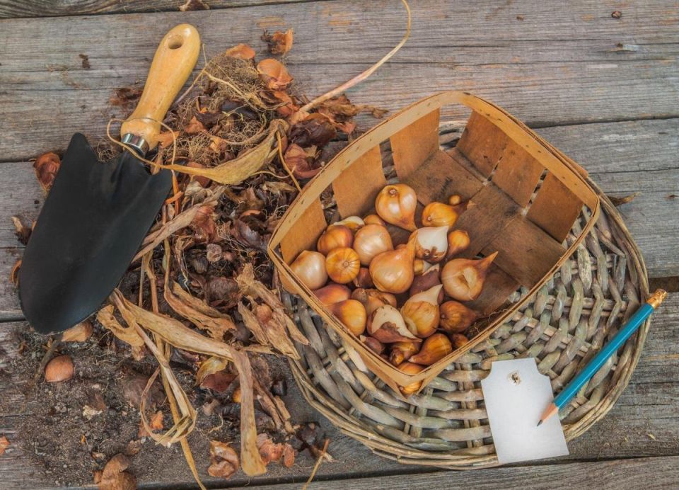 �������� ������� ��������� �����: ������� ��������� �����