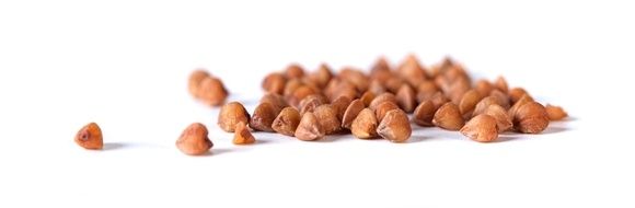 ������ ��������� ���� � ������� ��� ������: ������� �������������