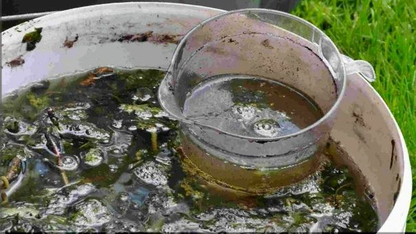 ������������� �����: ��� �� ��������� �� �������