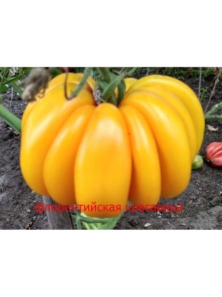 ����� ������������� ���������: ������� ����� � ���������� �������� ��������