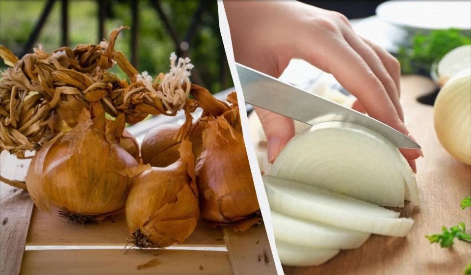 ��� � ��� ��������� ������� ���, ����� �� ������ ��������� ������?