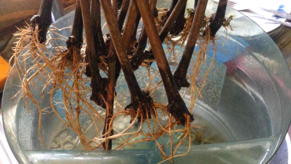 ����� � ������ �����, �� �� ��� ����� � ��� �����: ����� 3 �������� �� ������ ���� � ����� �� ������