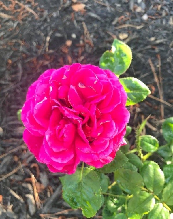 ��� ������� ���� ��� ����� ������ ������� � ��������� ������ �� ���������� � ����������� �������