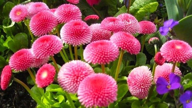 ������ ����� ������: ��������� ������� ��� ��������� �������� �� ���������� ����