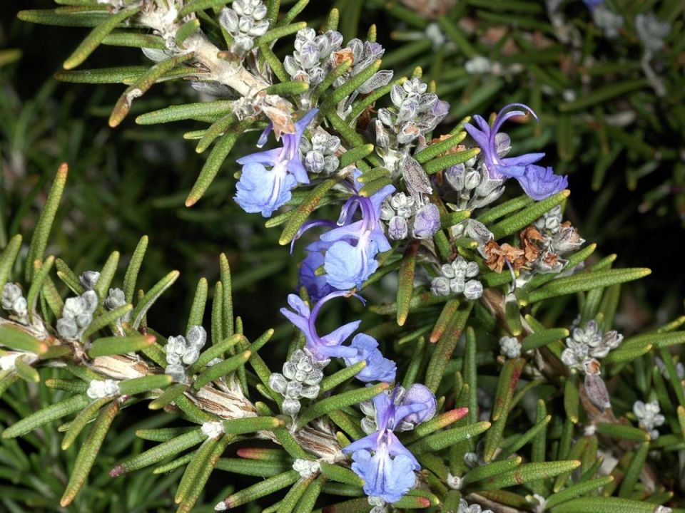 �������� � ����: ��������� ������ �� ����������� � ������ ��� ����