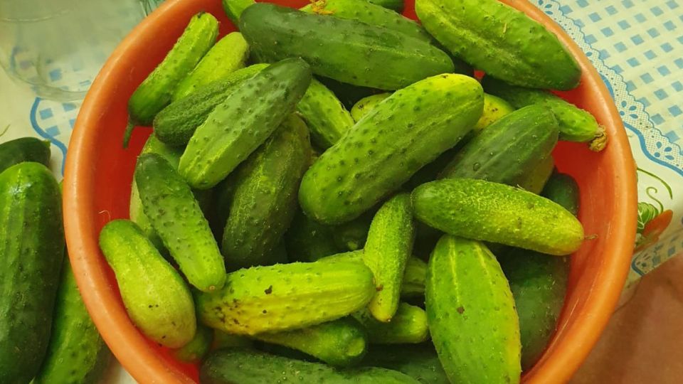 ��� ��������� �������� ������� �� ����: ������ ��������