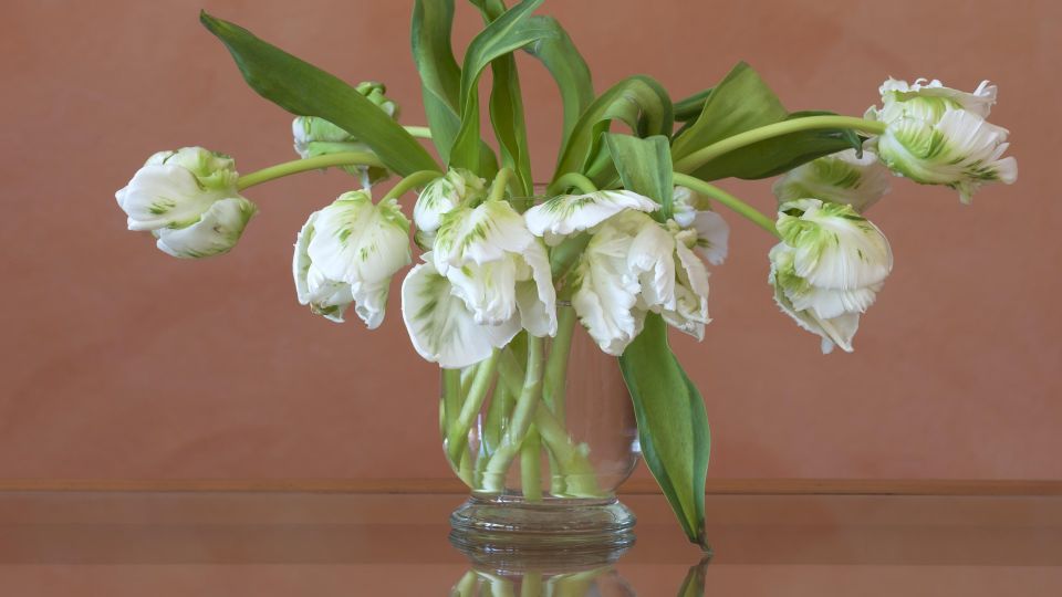 ���������� ���� ����������, ��� ���������: ����� ���� �������� �� � � ���� ��������