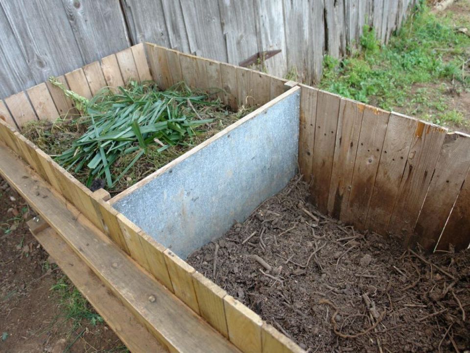 ��� ��������� ������������ ������� ��� ����������� �������� ������ ����