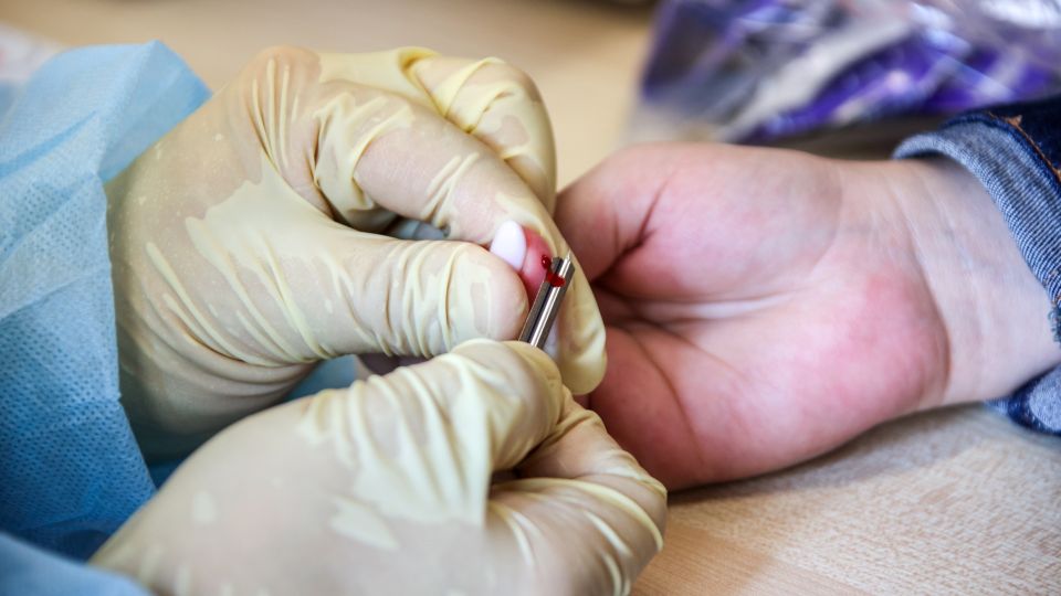 �������� �����������: ������ �������� ��� ������������, ��� �� ������ ������ ������� ������