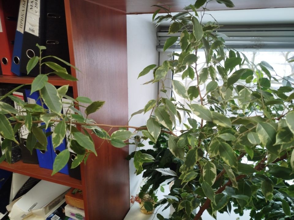 ������ �������� � ����� - ���� � �������� ������?