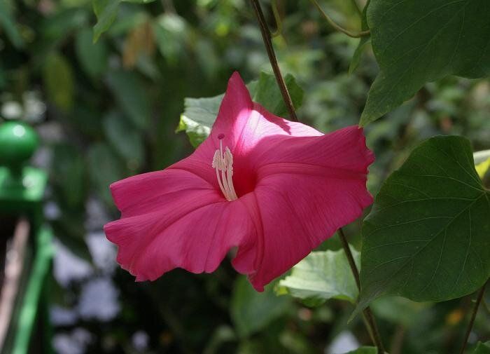 ������������� �����: ��� ����� ����� � �������� �������