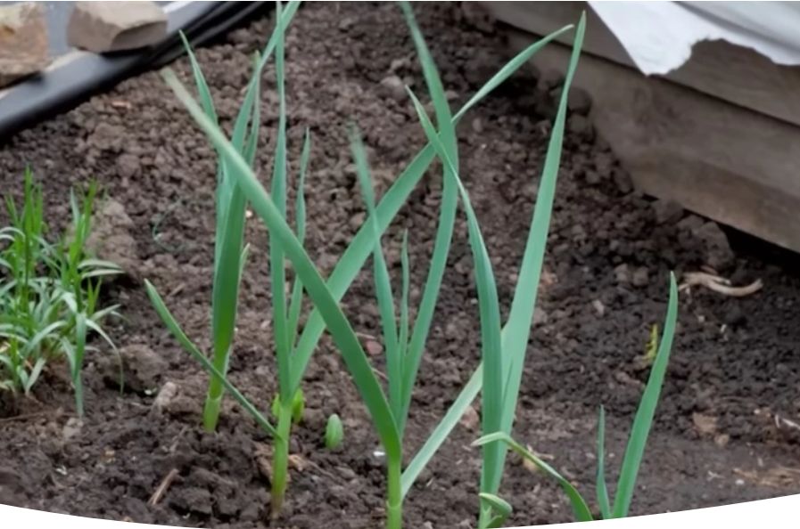 ���� �� ������ �������� ������ � � ������� ������