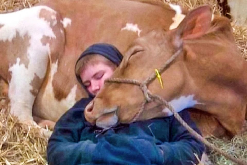 ����������, ������� ���������� ���������� � ������������ �����