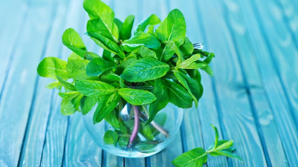 ������� ���� � ������������ ������ ���: ����� ���������� ������ ��������