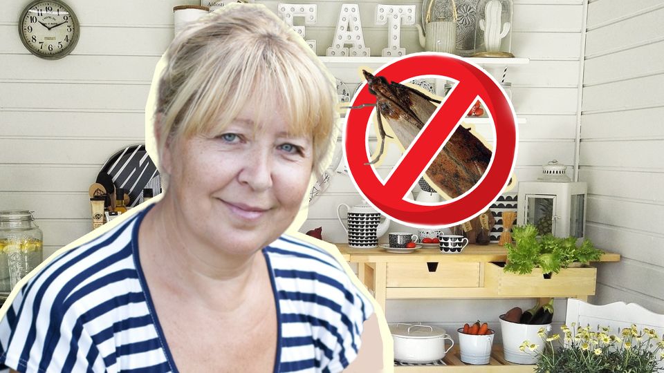 ������� ���� ����� �������� � �����: �� �������� ���� �������