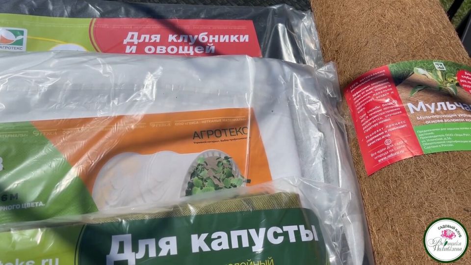 ��� ������� ��������� ��������� ��� �������������: ������ ��� ��������� � 2025 ����